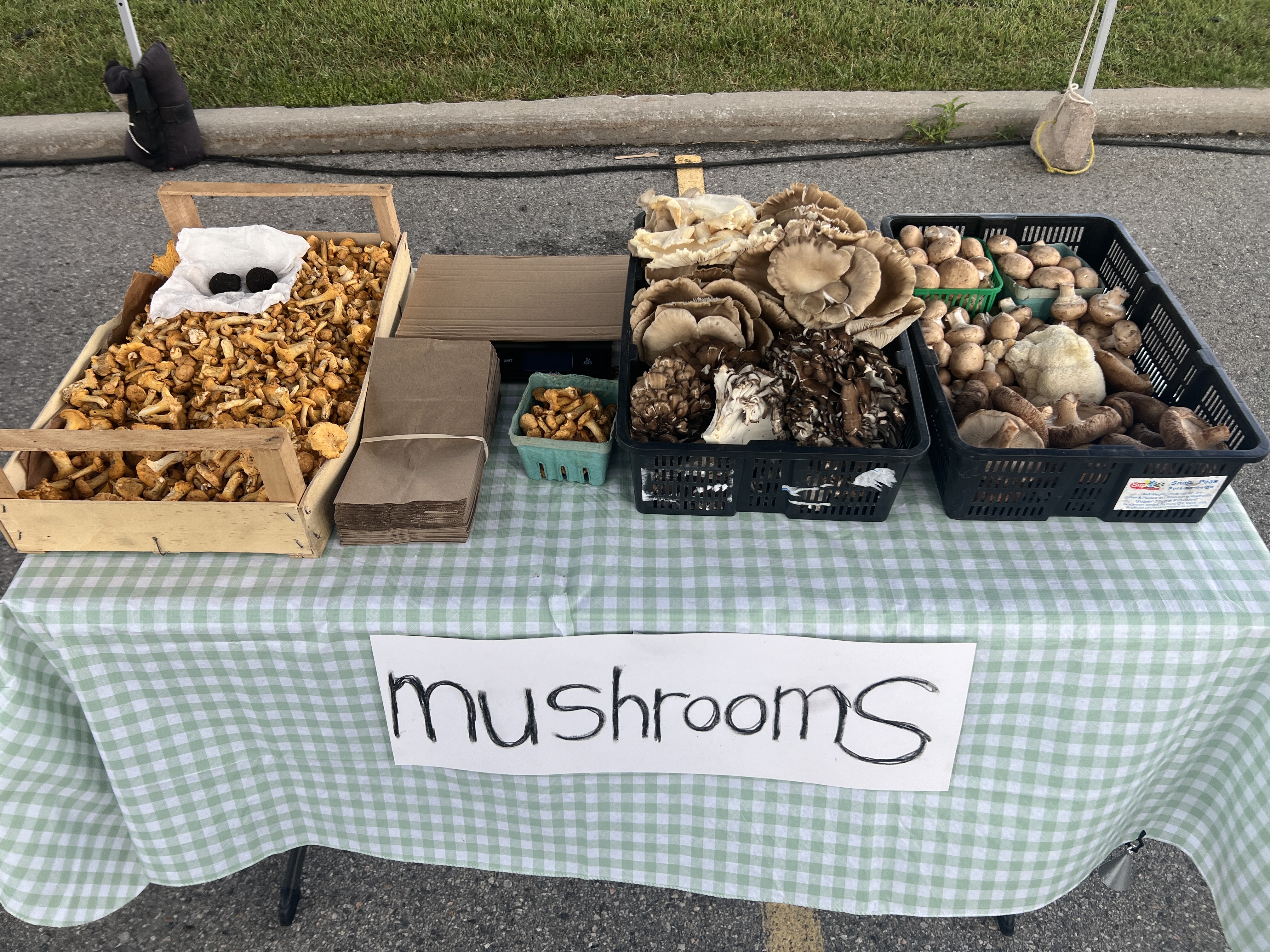 Local farmers market mushroom stall